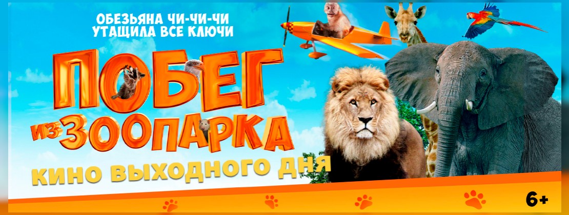 КИНО ВЫХОДНОГО ДНЯ: Побег из зоопарка